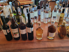 Slika_1_ocenjevanje sadnih žganj in sokov_Škof_T