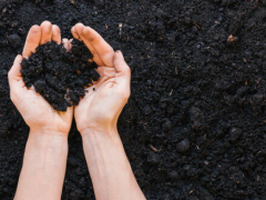 Slika 1: Bio bizz_www.kdm.si