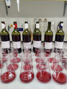 LETNI DOPUST ENOLOŠKEGA LABORATORIJA