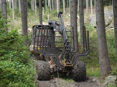 Slika 1: gozdarska oprema_pixabay