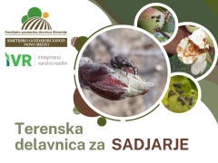 terenska delavnica za sadjarje