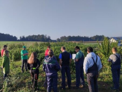 Slika_1_projekt EIP »Vloga industrijske konoplje pri prilagajanju podnebnim spremembam ter varovanju virov v kmetijstvu_arhiv KGZ Novo mesto
