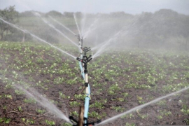 Slika1:Pixabay_feraugustodesign-irrigation-588941