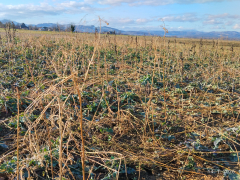 Slika 1: (foto Mateja Strgulec)