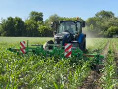 Slika 1: Koruza (foto Matjaž Žnideršič)