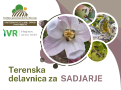 terenska delavnica za sadjarje