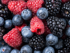 Vabilo na strokovno srečanje pridelovalcev jagodičja