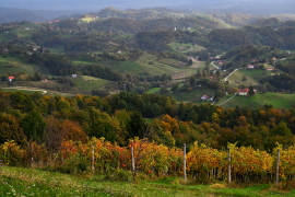 Slika_1_krajina_z_značilnostmi_visoko_raznovrstne_krajine_Kramar_Z