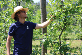Mag. Bajec Domen prejemnik priznanja za posebne zasluge na področju varstva rastlin