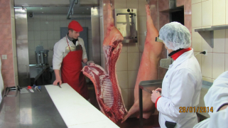 Slika_1_razsek mesa_Lavrič_T