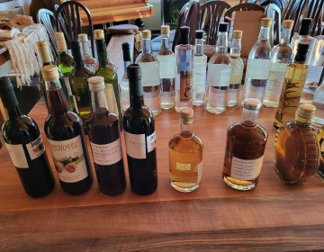 Slika_1_ocenjevanje sadnih žganj in sokov_Škof_T