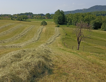 Izteka se rok za prijavo v kontrolo ekološkega...