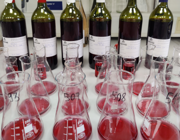 LETNI DOPUST ENOLOŠKEGA LABORATORIJA