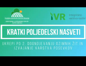 Kratki poljedelski nasveti: Ukrepi po 2. dognojevanju ozimnih žit in izvajanje varstva posevkov.