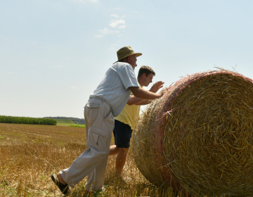 Dodatna finančna pomoč družinskim kmetijam – pr...
