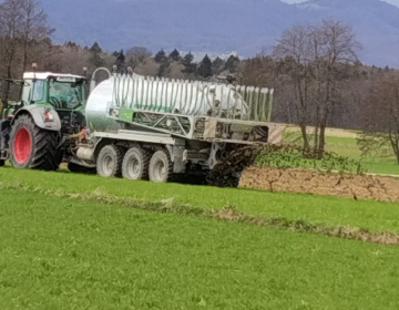 Slika 1: (foto Mateja Strgulec)