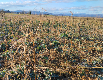 Slika 1: (foto Mateja Strgulec)