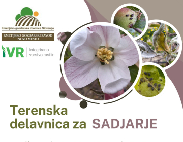 terenska delavnica za sadjarje