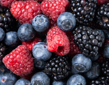 Vabilo na strokovno srečanje pridelovalcev jago...