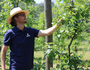 Mag. Bajec Domen prejemnik priznanja za posebne zasluge na področju varstva rastlin