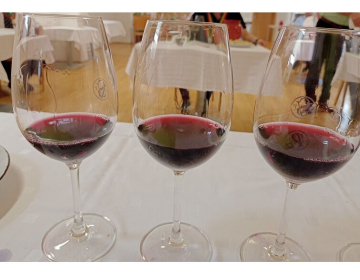 Priložnost za vinarje: tečaji vinarstva, senzorične analize in pridelave penečih vin