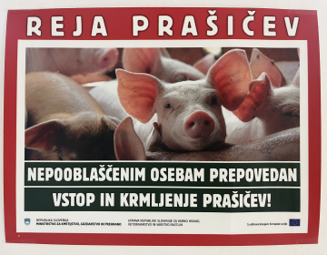 Afriška prašičja kuga pri sosedih