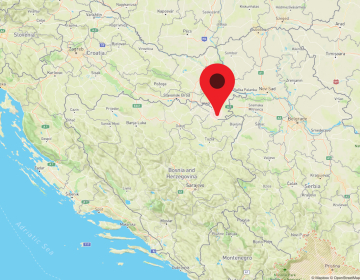 Obvestilo o potrditvi prvega primera APK pri divjih prašičih na Hrvaškem
