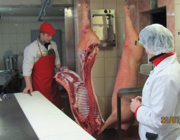 Slika_1_razsek mesa_Lavrič_T