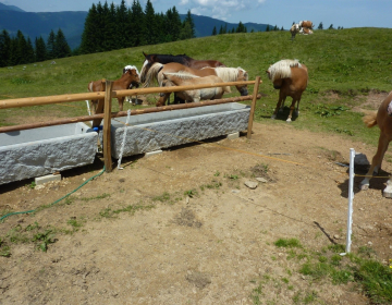 Slika_1_Preskrba z vodo na pašniku_Sotošek_V