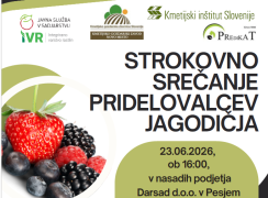 STROKOVNO SREČANJE PRIDELOVALCEV JAGODIČJA