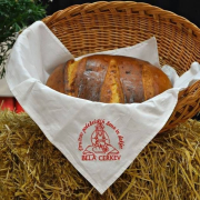 Slika_1_kruh v jerbasu_Lavrič_C