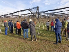 Strokovno srečanje ekoloških pridelovalcev  - Eko Topaz