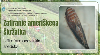 Video z naslovom Zatiranje ameriškega škržatka s fitofarmacevtskimi sredstvi obravnava enega ključnih fitosanitarnih izzivov v vinogradništvu
