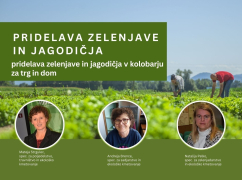 PRIDELAVA ZELENJAVE IN JAGODIČJA