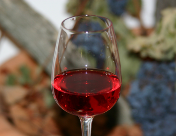 Sprememba specifikacije za vino Cviček PTP