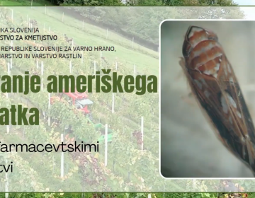 Video z naslovom Zatiranje ameriškega škržatka s fitofarmacevtskimi sredstvi obravnava enega ključnih fitosanitarnih izzivov v vinogradništvu