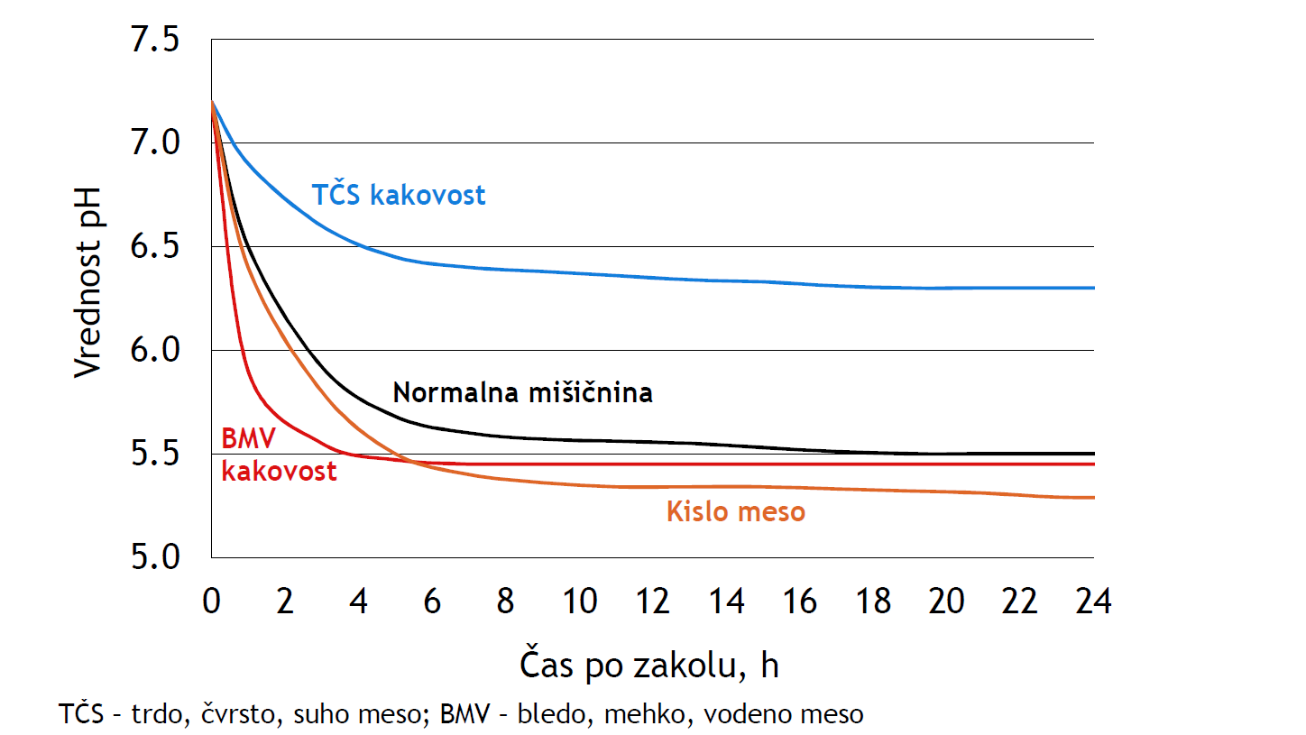 Slika 2: Hitrost in obseg znižanja vrednosti pH po zakolu pri prašičih (vir: Pitanje prašičev na večjo težo in predelava mesa v izdelke posebne kakovosti; 2015. KIS)