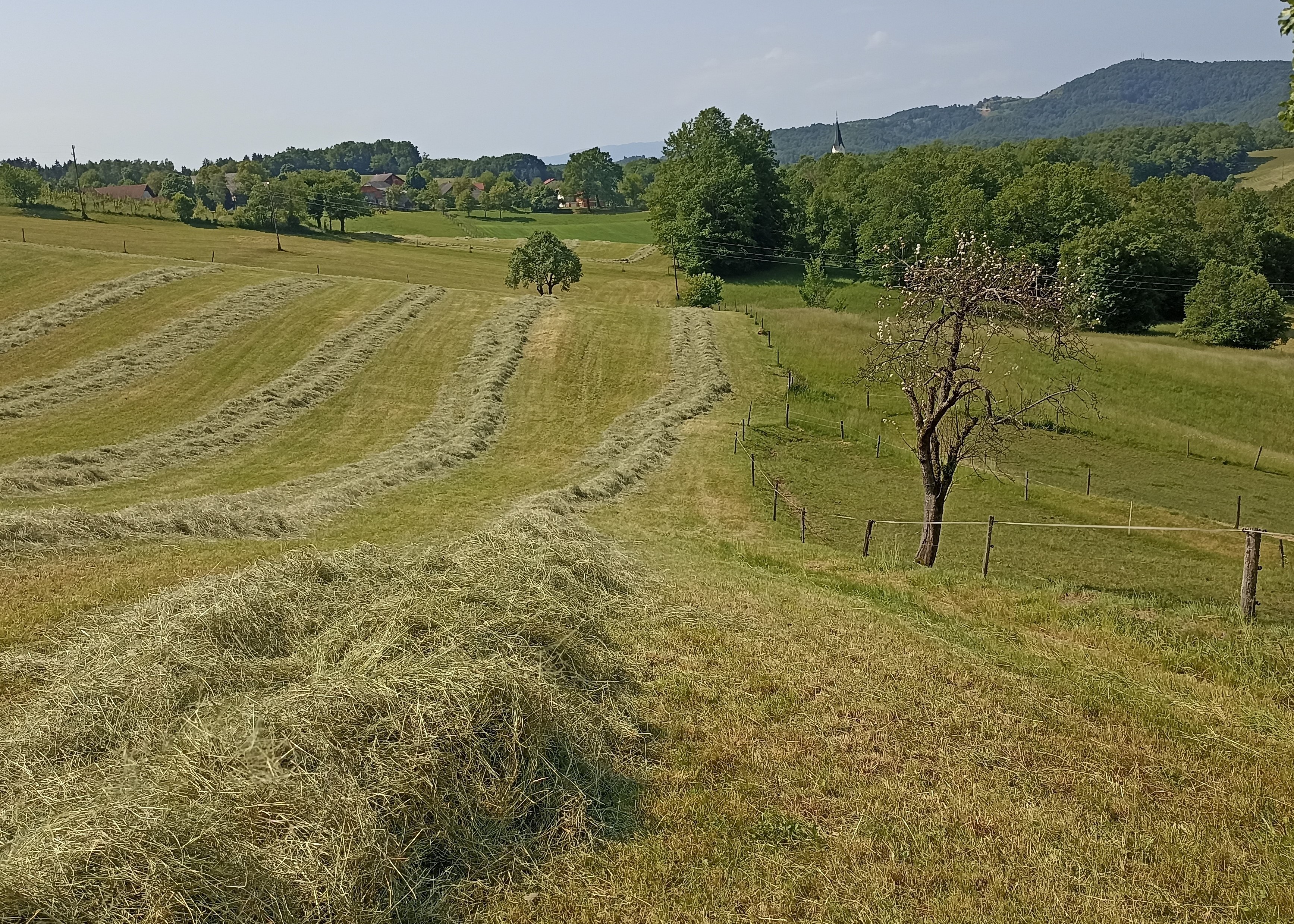 Izteka se rok za prijavo v kontrolo ekološkega kmetovanja, ekološkega čebelarjenja, integrirane pridelave in senene prireje