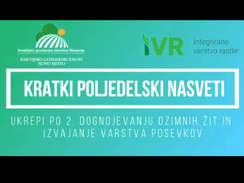 Kratki poljedelski nasveti: Ukrepi po 2. dognojevanju ozimnih žit in izvajanje varstva posevkov.