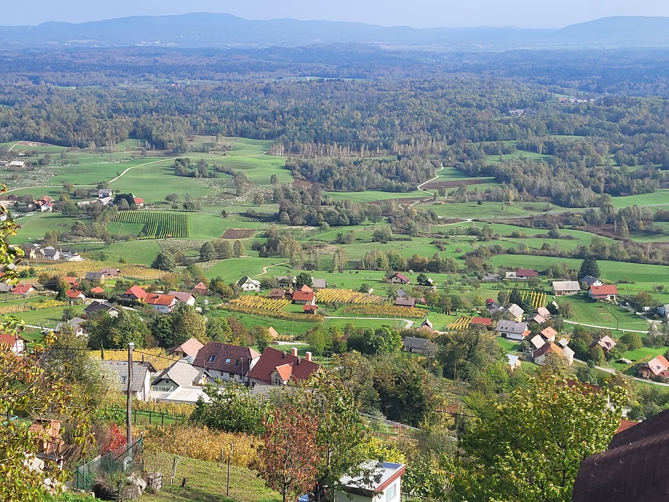 Slika_1_kmetijske površine_Kmetič_Škof_T