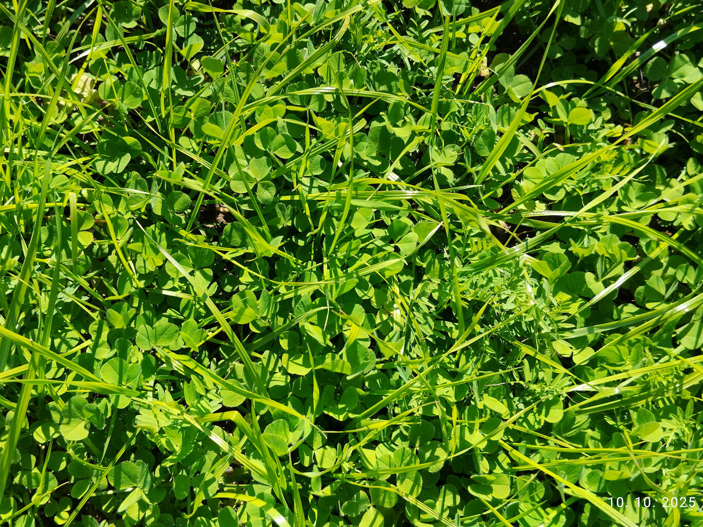 Slika 2: (foto Mateja Strgulec) 