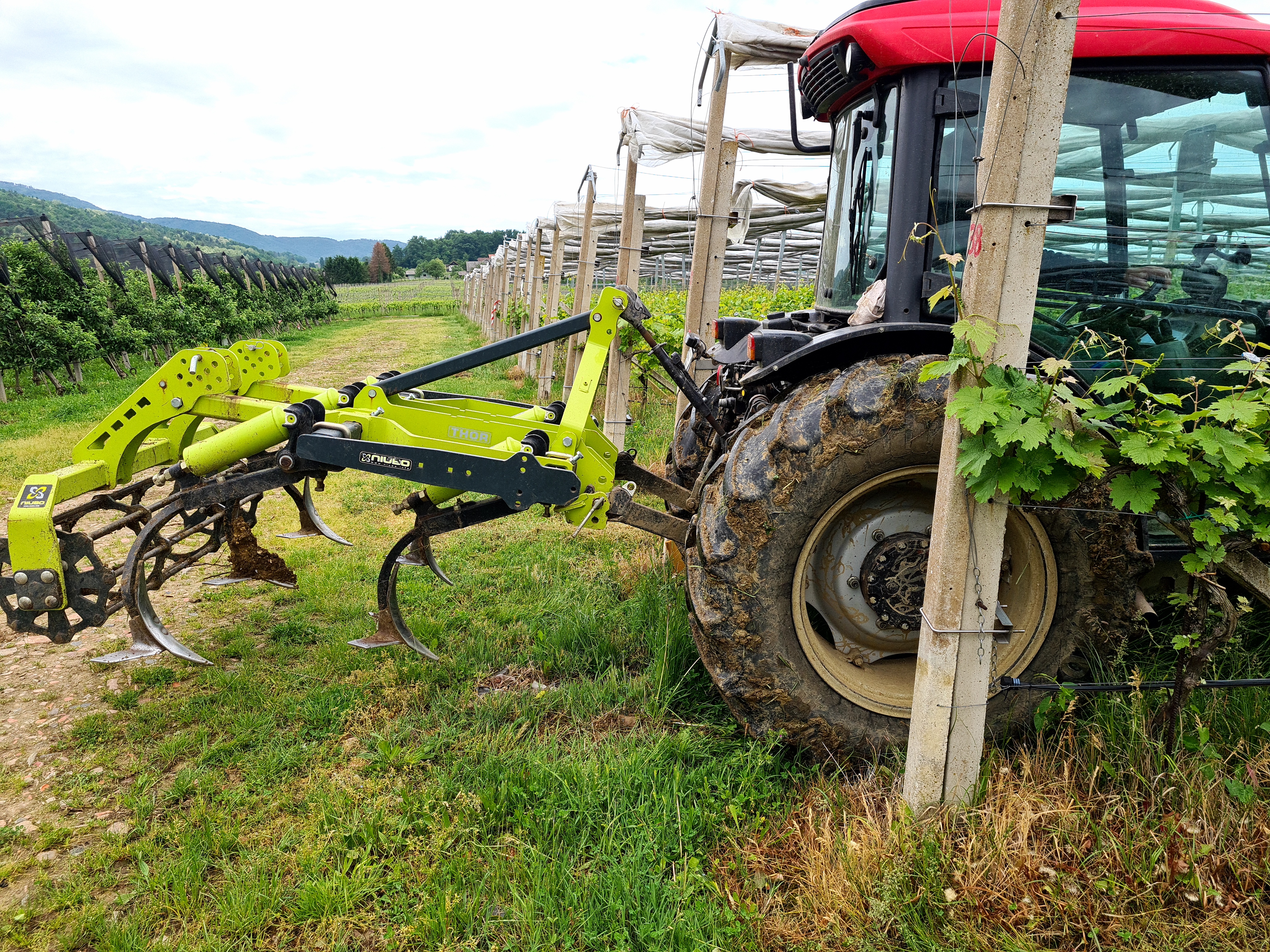 Slika 1: Obdelava tal v vinogradu
