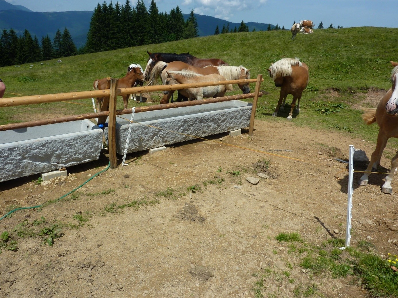 Slika_1_Preskrba z vodo na pašniku_Sotošek_V